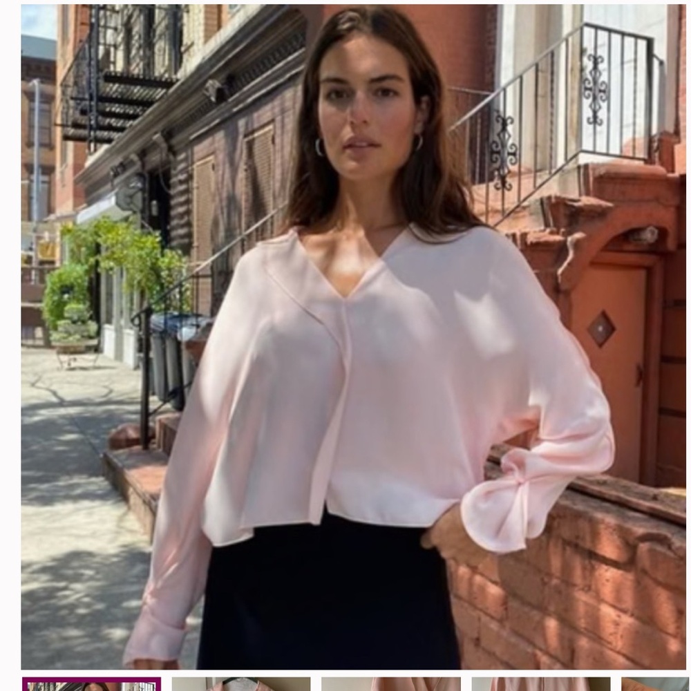 Aritzia babaton Martin blouse